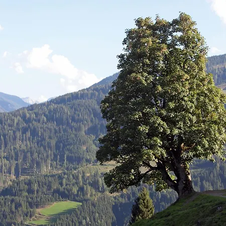 Alpine Retreat With Mountain Views * Wagrain
