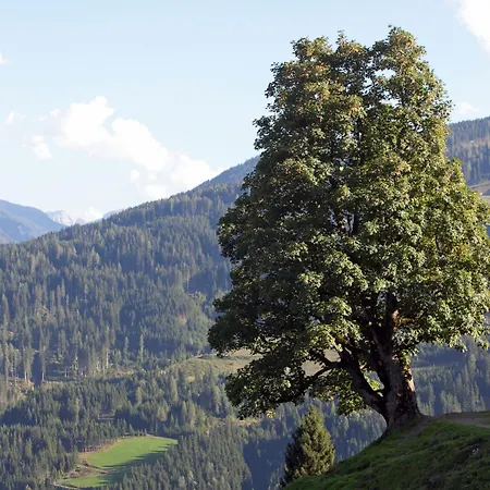 Alpine Retreat With Mountain Views * Wagrain